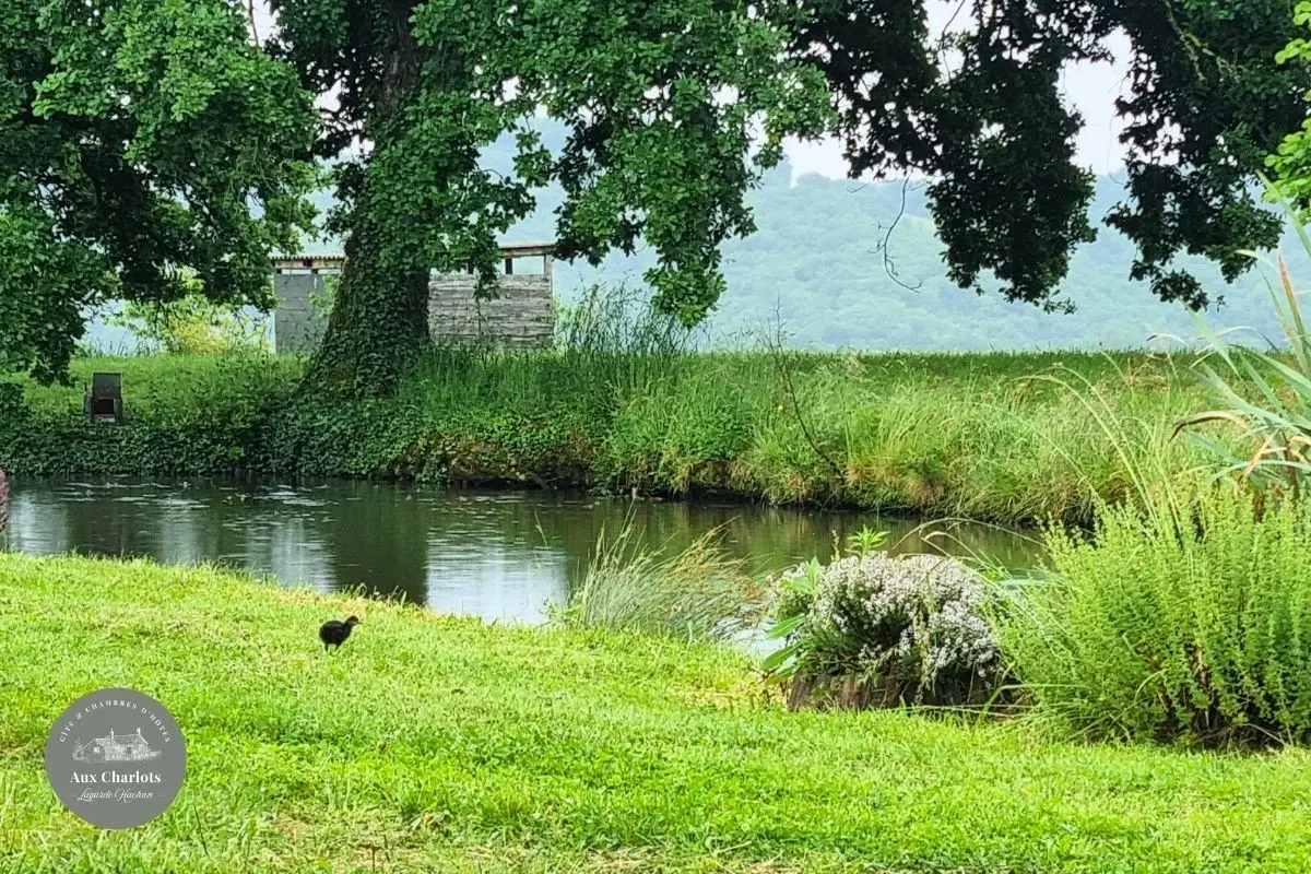 Gîte et chambres d'hôtes Aux Charlots Gers (42)