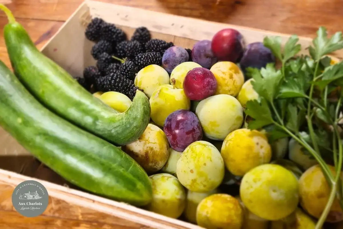 Gîte et chambres d'hôtes Aux Charlots Gers (54)