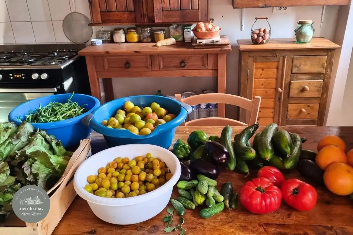 Gîte et chambres d'hôtes Aux Charlots Gers (56)