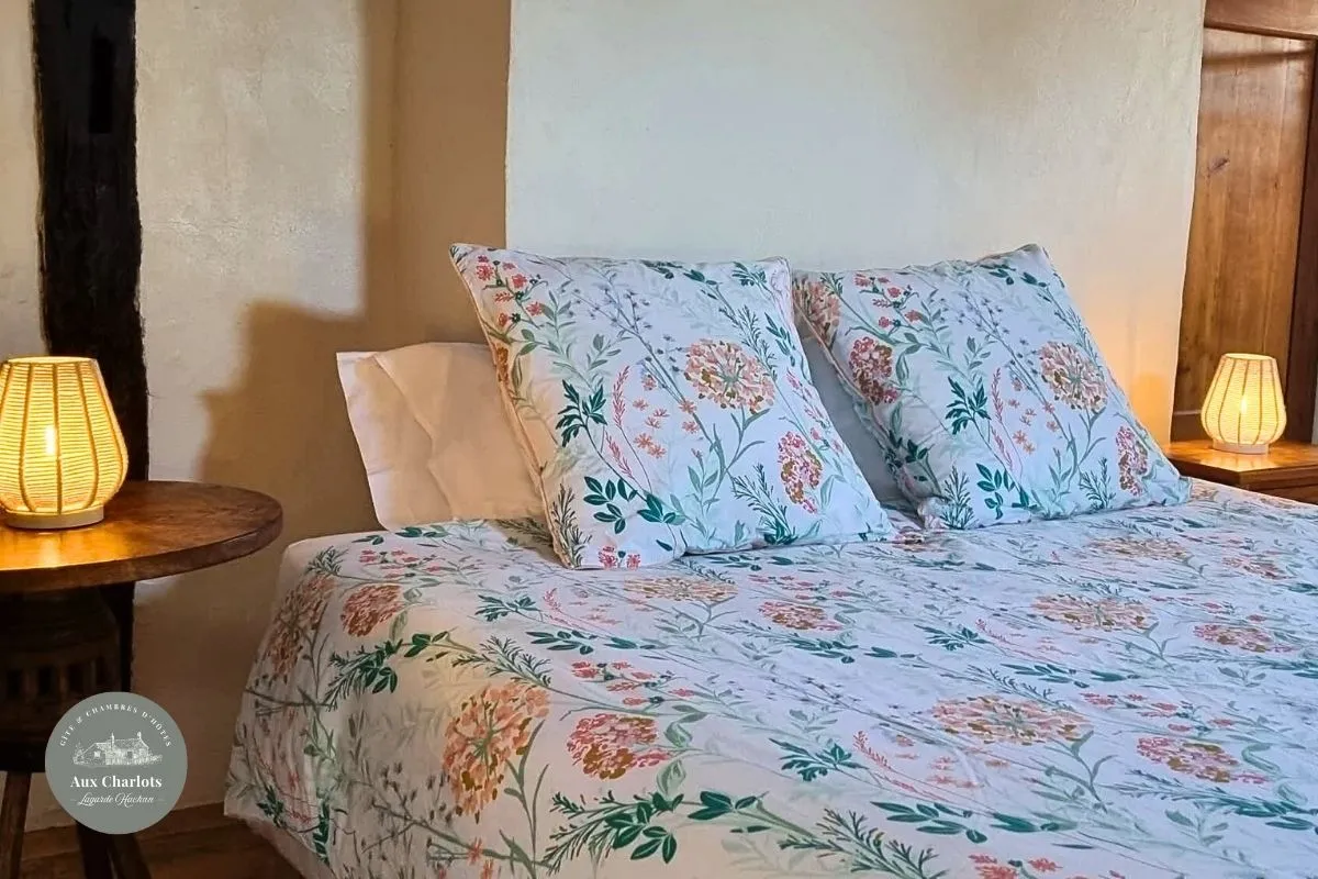 Gîte et chambres d'hôtes Aux Charlots Gers (89)