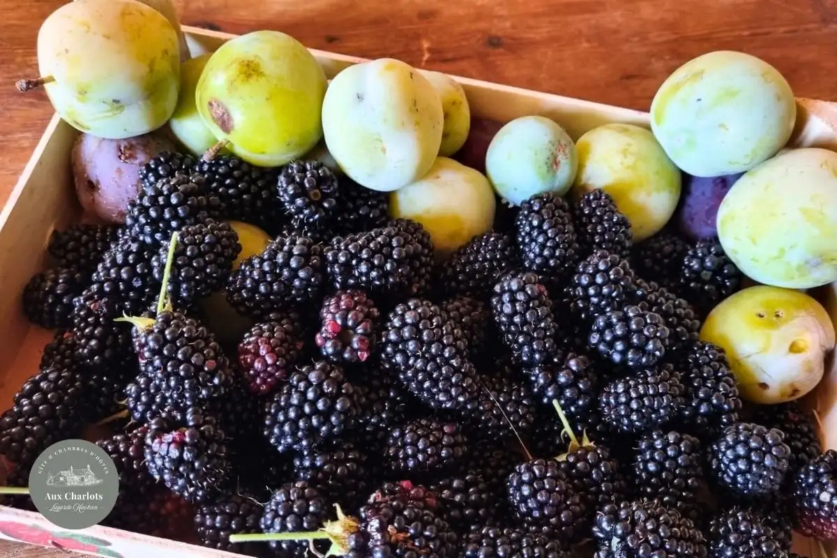 Gîte et chambres d'hôtes Aux Charlots Gers (91)