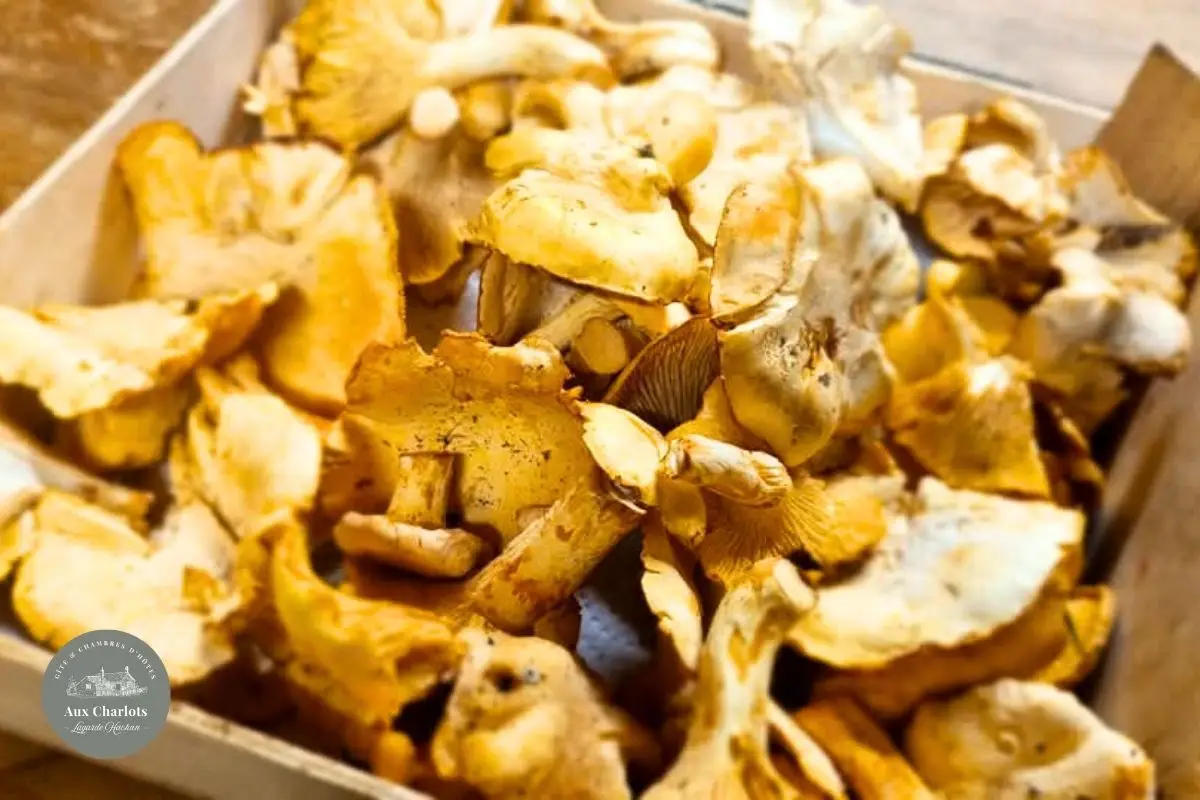 Gîte et chambres d'hôtes Aux Charlots Gers (92)