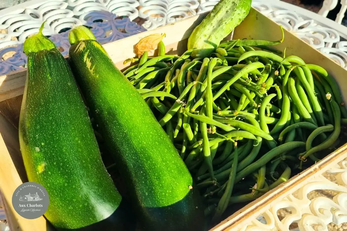 Gîte et chambres d'hôtes Aux Charlots Gers (93)